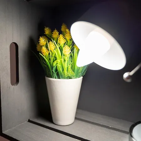 Apartmán Casa Violante